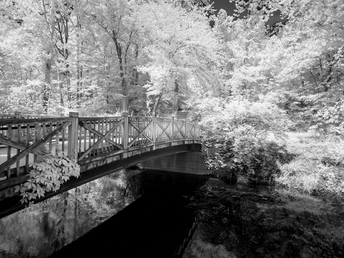 Angler Bridge
