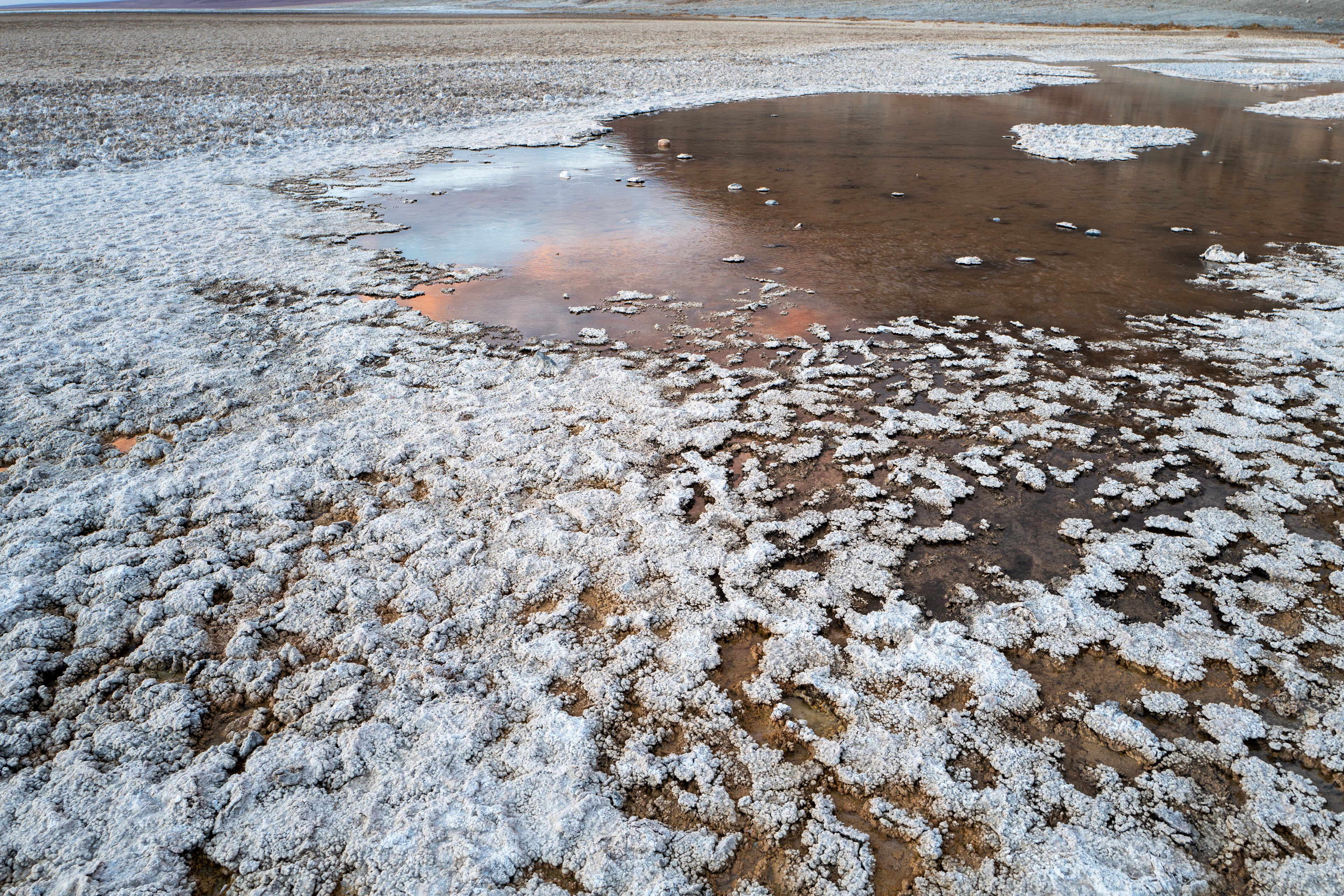Badwater Detail