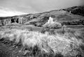 Big Rock BW