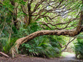 Reaching Branches