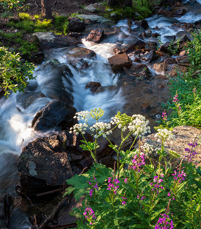 Flowers and Falls