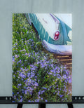 Wildflower Buick